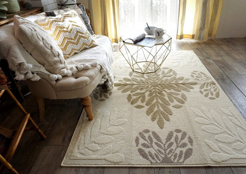 シュクレ・ノッカ・