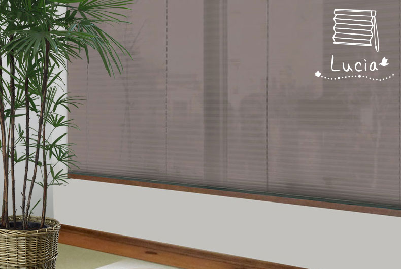 シングル・コード式・ルーシア