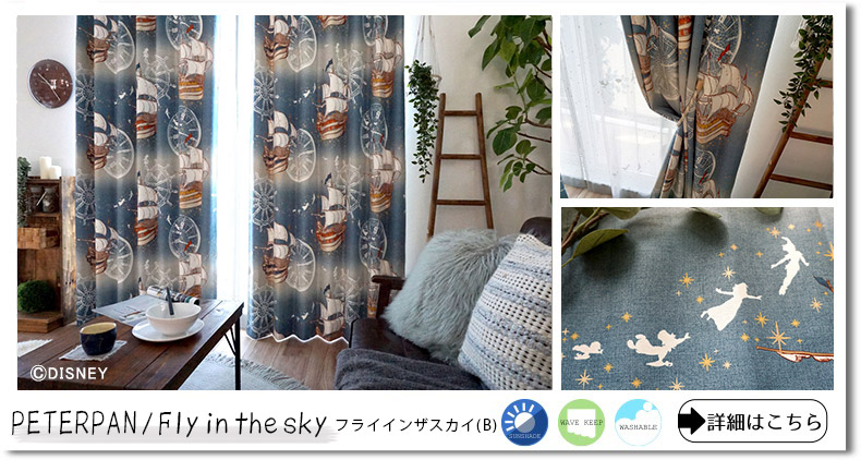 ピーターパンフライインザスカイB