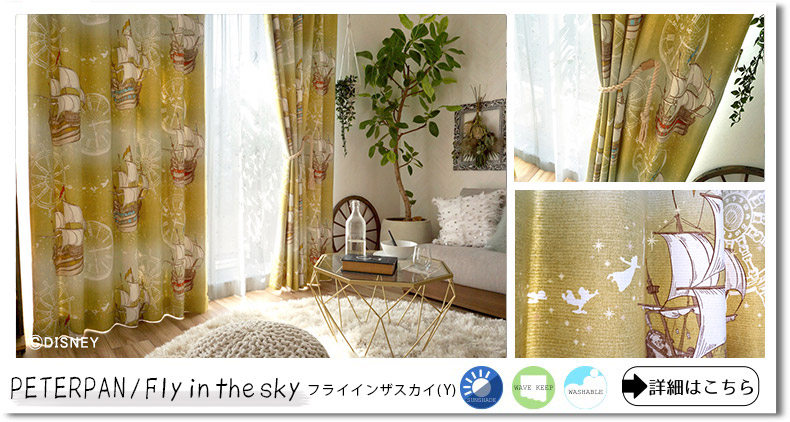 ピーターパンフライインザスカイY