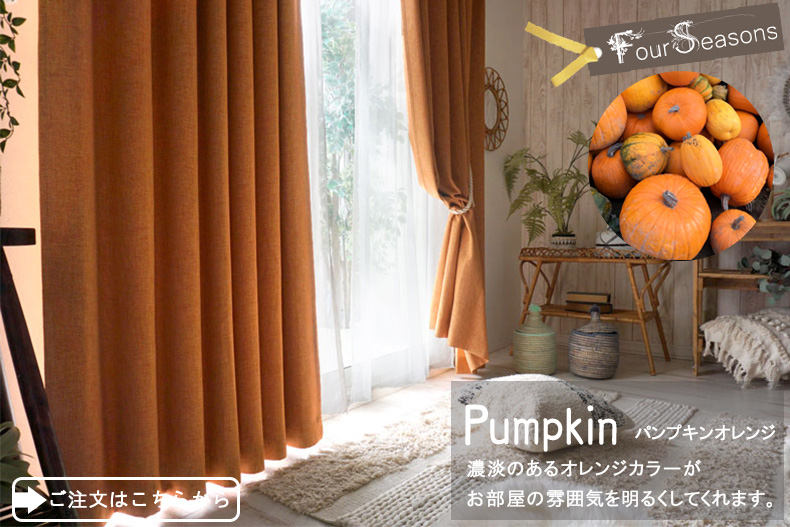 パンプキンオレンジ