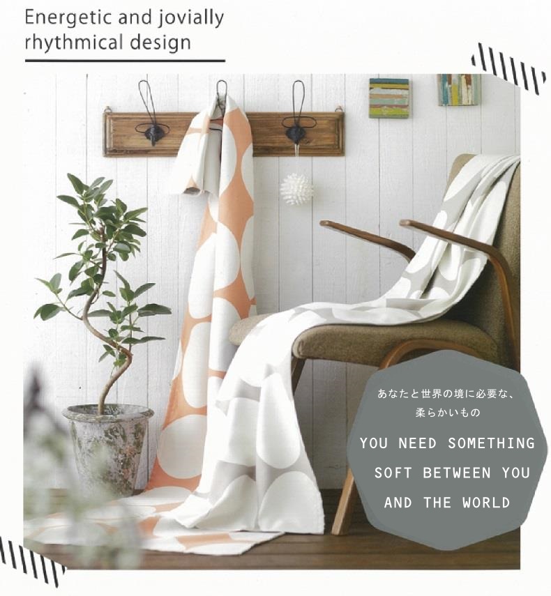 フィンレイソン