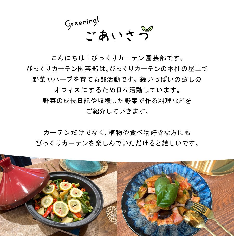 園芸部ごあいさつ