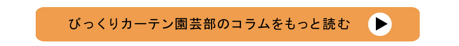 園芸部コラムもっと読む