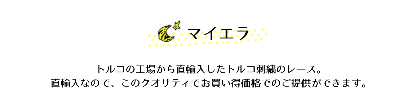 マイエラテキスト