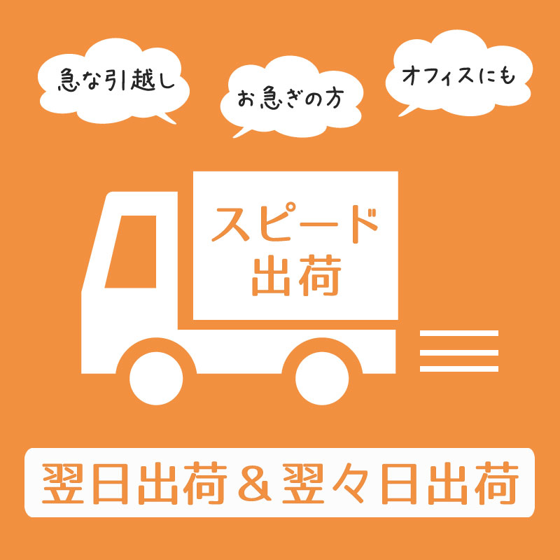 スピード出荷特集