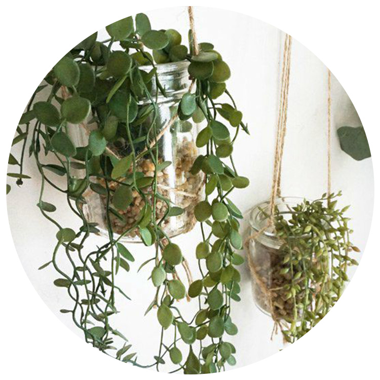 インテリアグリーンlink