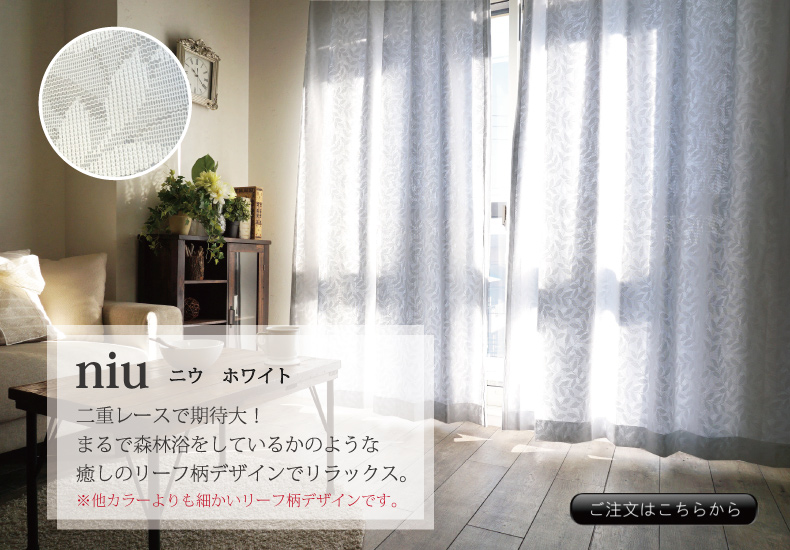 アルブル　ホワイト