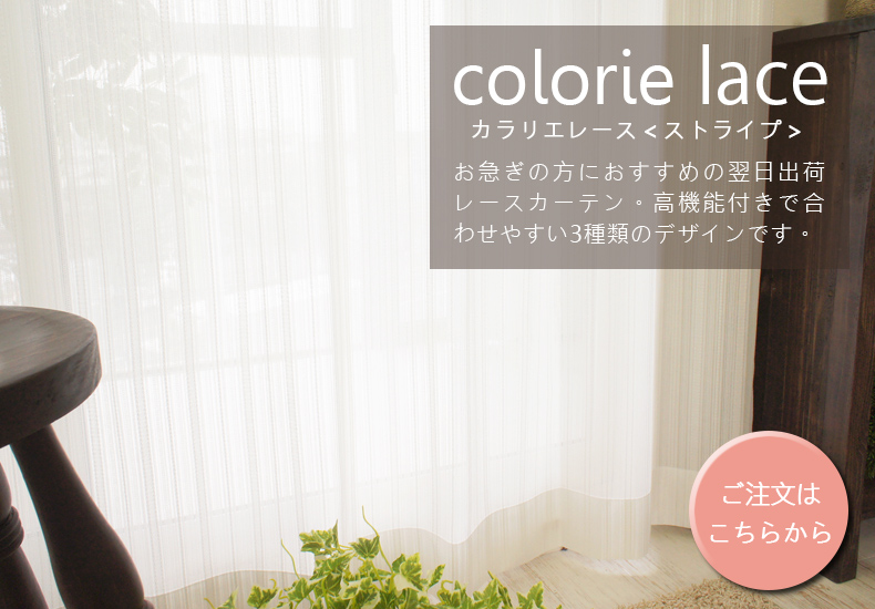 カラリエレース　ストライプ