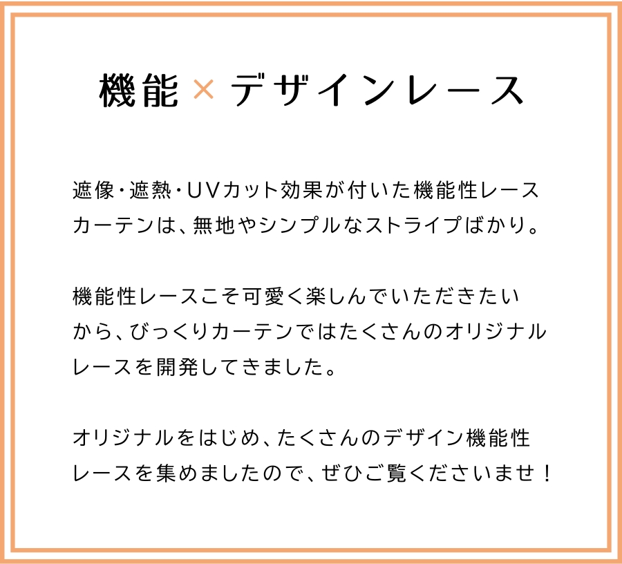機能性デザインレースについて