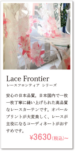 レースフロンティア