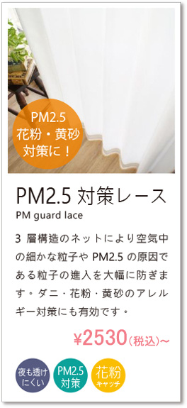 PM2.5