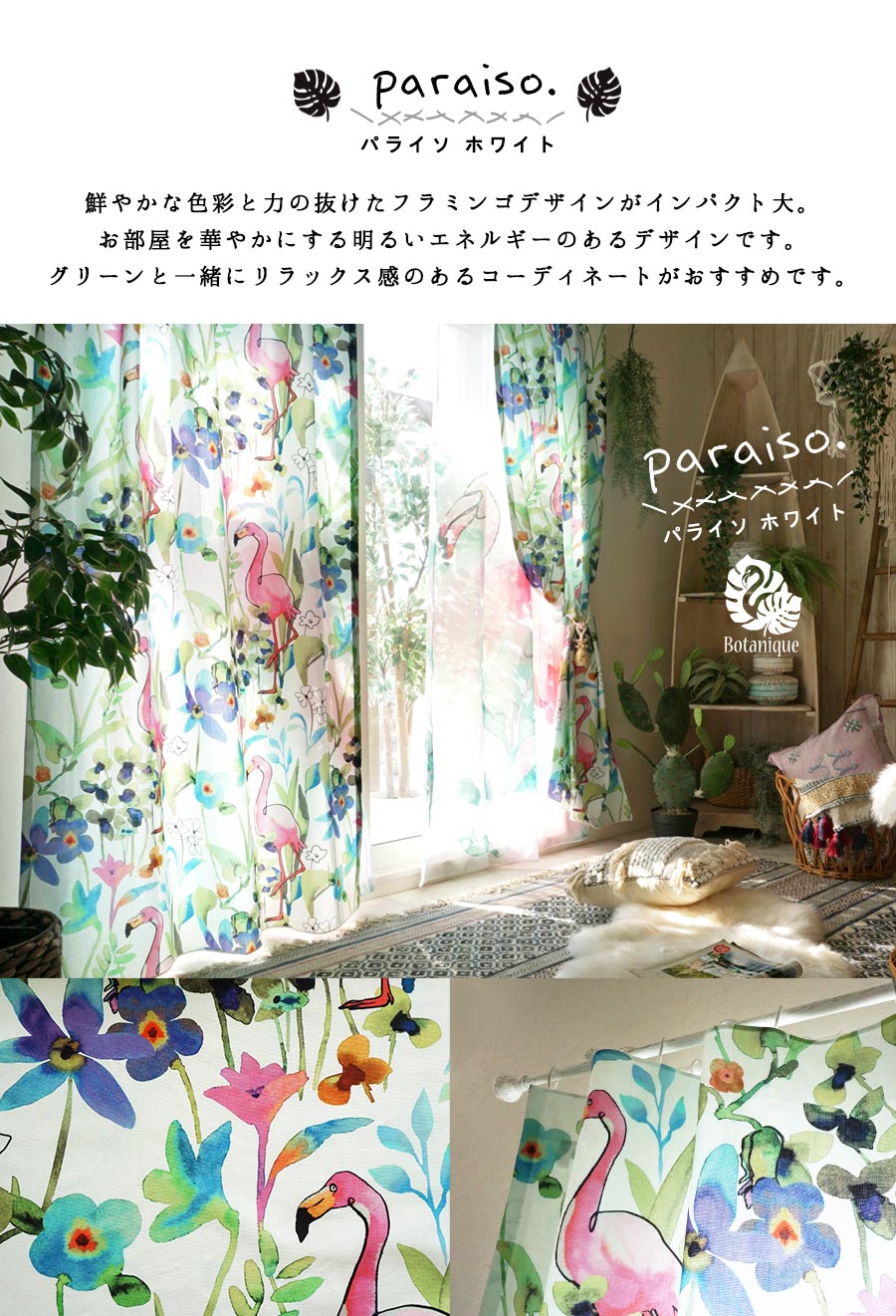 パライソホワイト