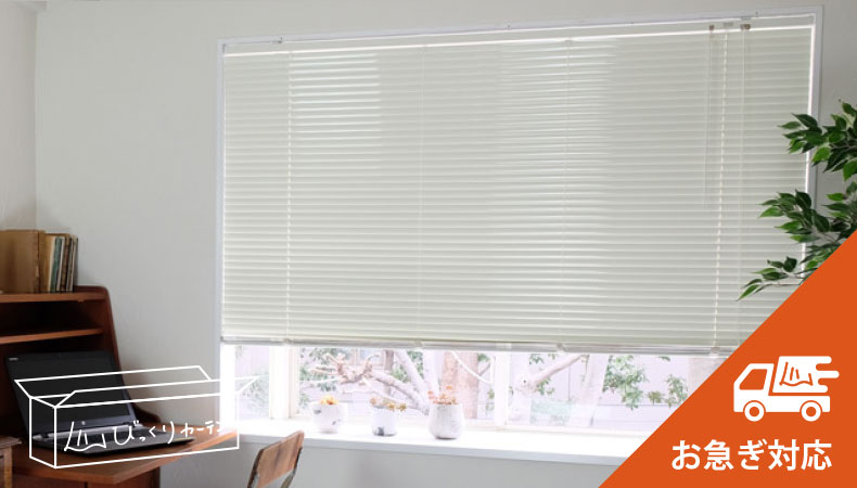 サイズ限定【最短で翌日出荷】ラピー