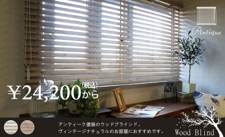 ニチベイ　クレール