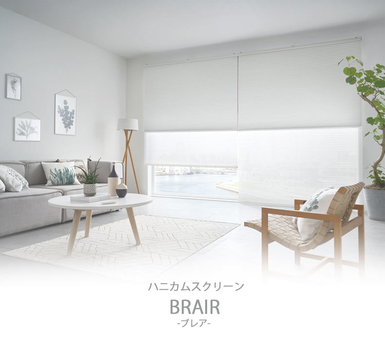 省エネ効果のあるハニカム構造のスクリーン　ブレア イメージ