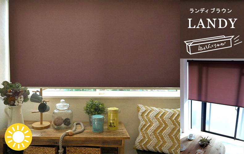 ランディ　ブラウン