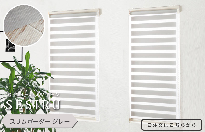 スリムボーダーグレー