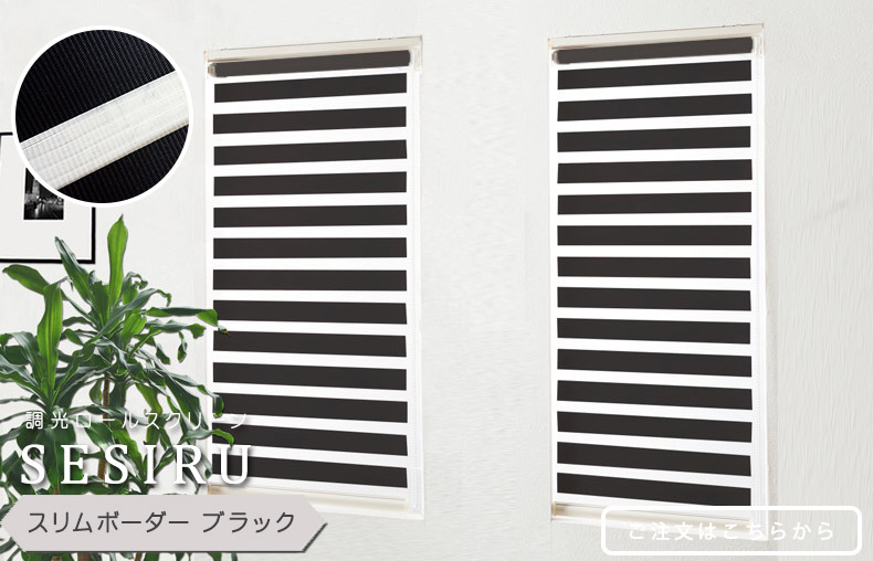 スリムボーダーブラック