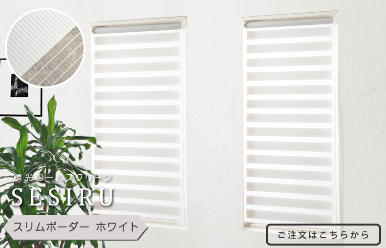 スリムボーダーホワイト