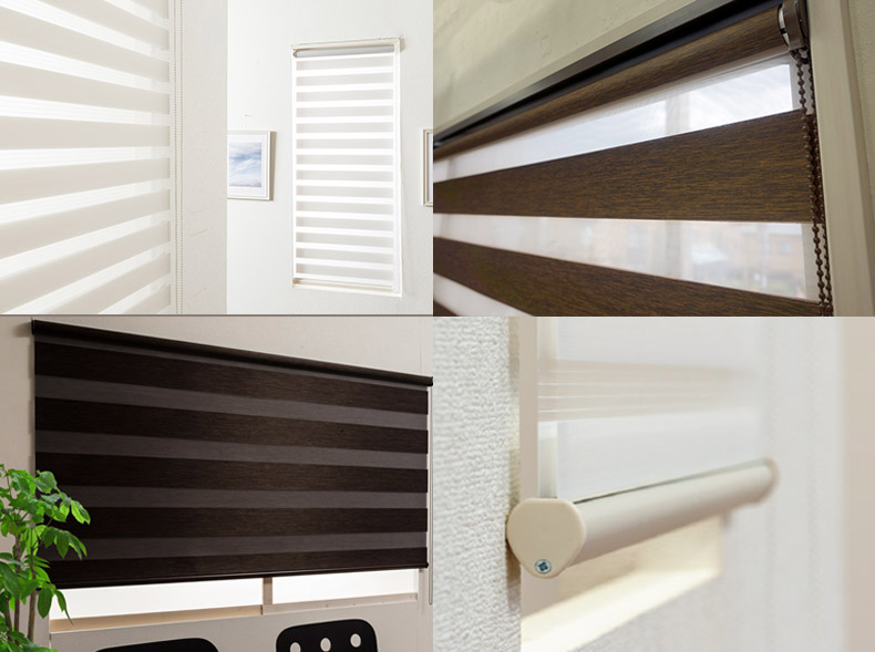 セシルについて