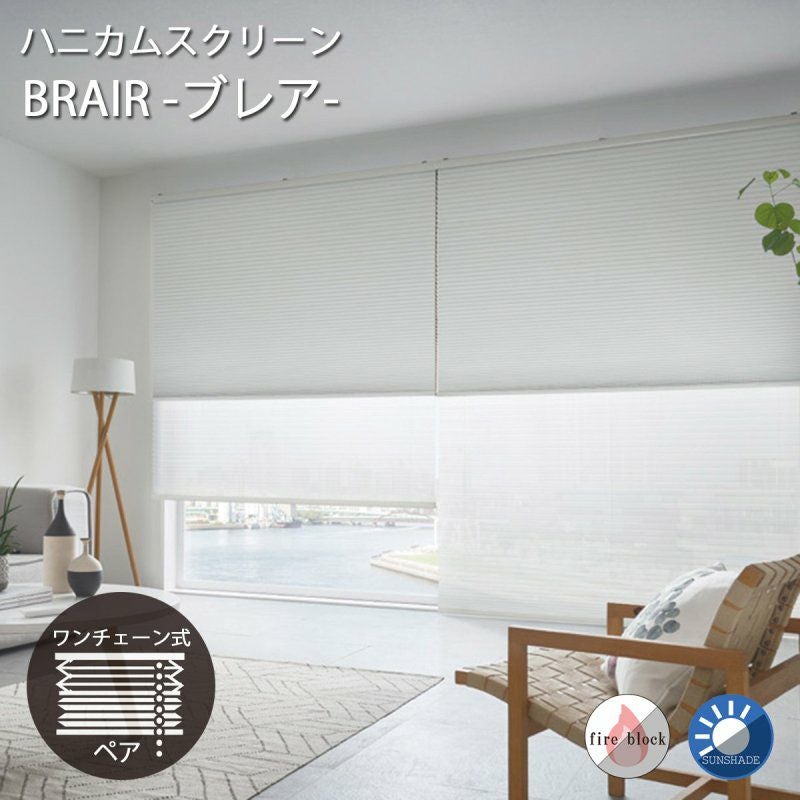 断熱・保温効果で省エネ！ハニカムスクリーン＜ブレア ペアレース