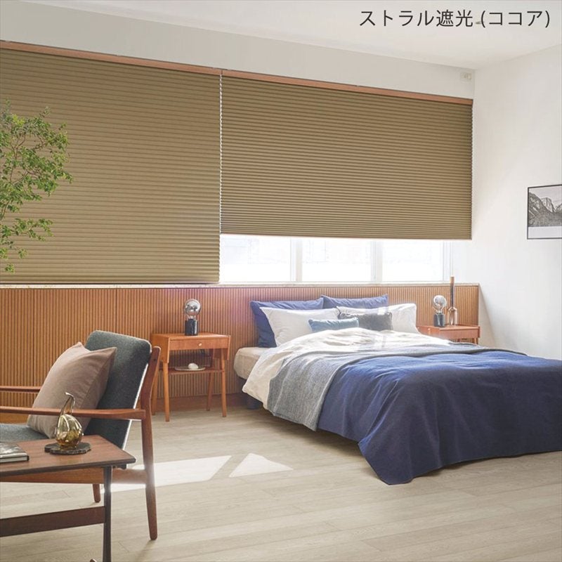 ハニカムスクリーン | びっくりカーテン｜100サイズカーテンと